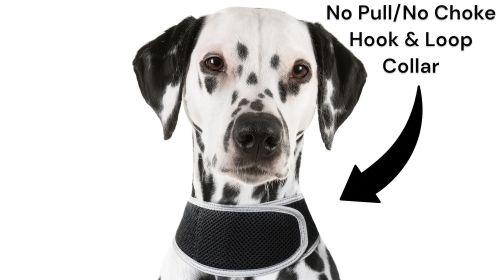 Lightweight Rechargeable Collar Pet GPS Tracker for Dogs with Movement Detector Size:M