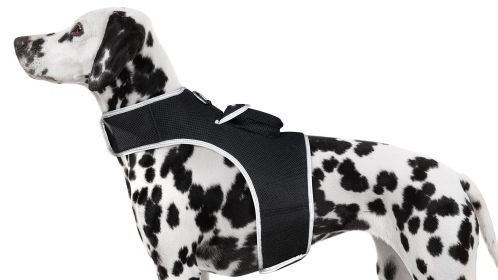 NEW GPS GSM Pet Finder Wireless Surveillance Tracking Systems for Dogs Size:L